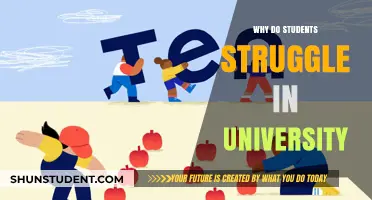 Unraveling the University Struggle: Insights for Students and Educators