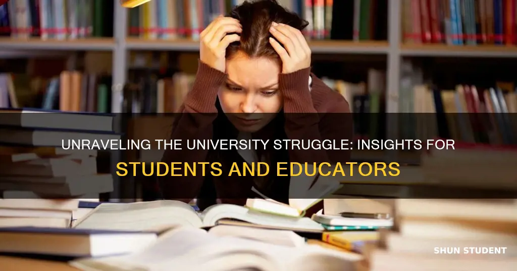 why do students struggle in university