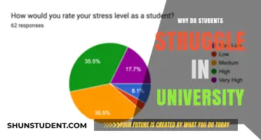 University Challenges: Why Students Struggle Academically