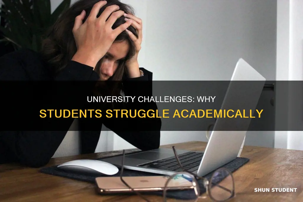 why do students struggle in university