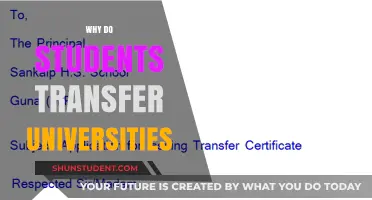 Transferring Universities: Students Seek Better Opportunities