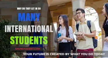 International Students: Why the Rush to Recruit?