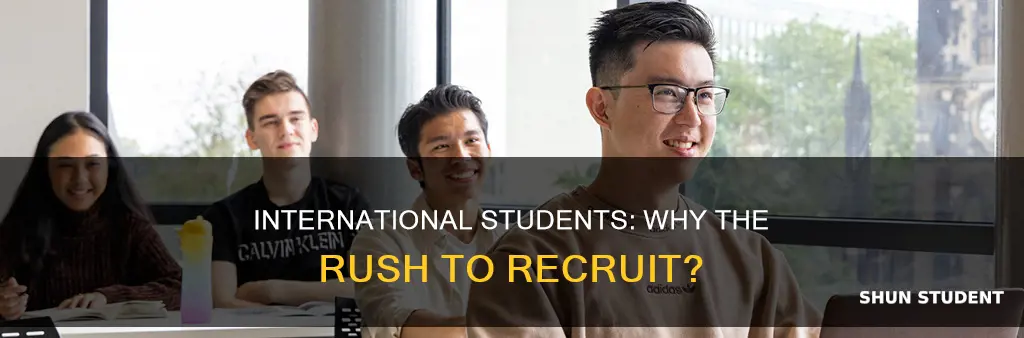why do they let in so many international students