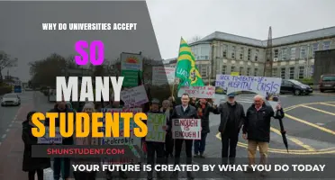 The University Enrollment Boom: Why the Sudden Spike?