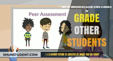 Peer Grading: Empowering Students or Undermining Learning?