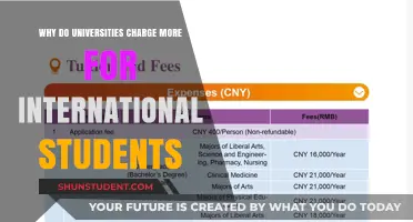 International Student Fees: Why the Extra Cost?