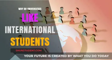 Universities Embrace International Students: Why?
