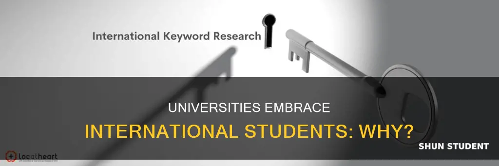 why do universities like international students