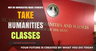 Humanities Classes: Essential for Well-Rounded University Education