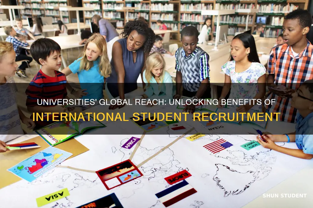 why do universities recruit international students