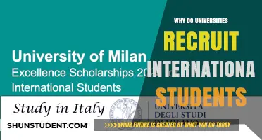 Universities' Global Reach: Recruiting International Students