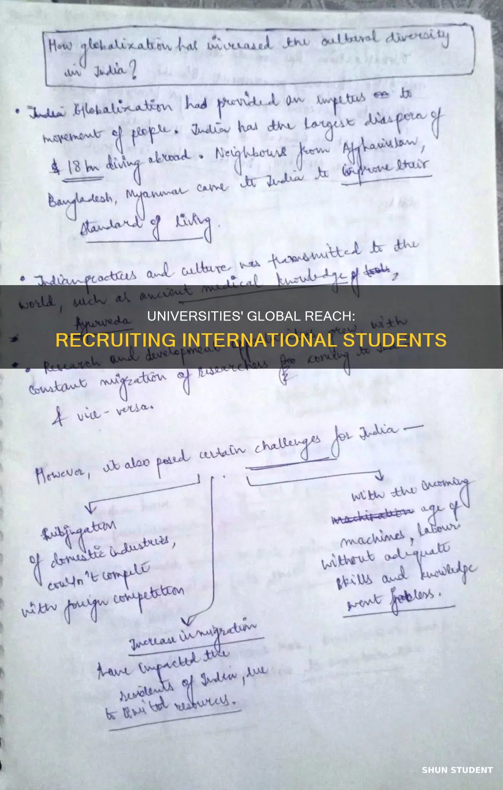 why do universities recruit international students