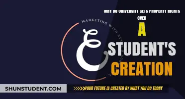 Universities: Who Owns Student Inventions?