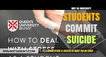University Students: Stress, Suicide, and Solutions