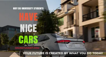 The Secret to Success: University Students and Their Nice Cars