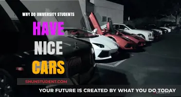 University Students: Nice Cars, Whose Money?