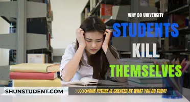 University Students' Suicides: Understanding the Why