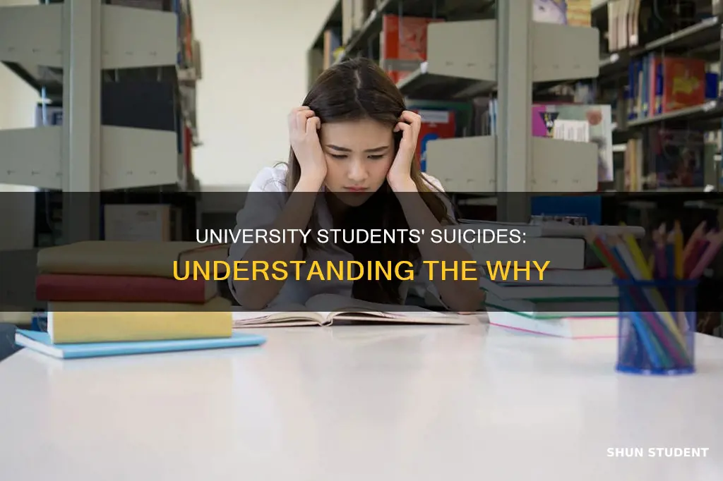 why do university students kill themselves