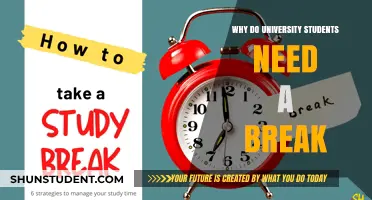 University Students: Taking Breaks to Avoid Burnout