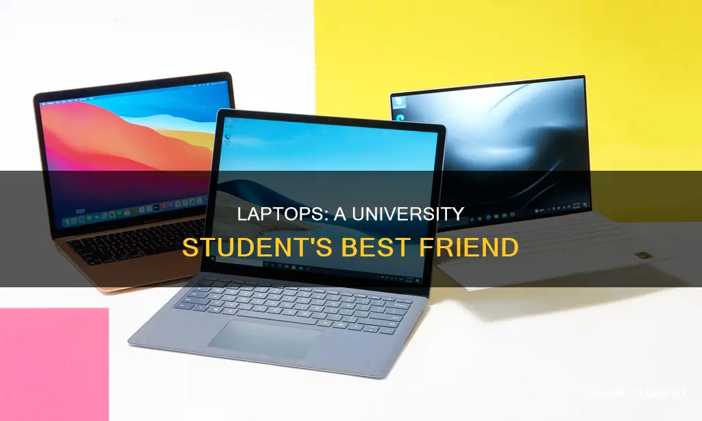 why do university students need laptops