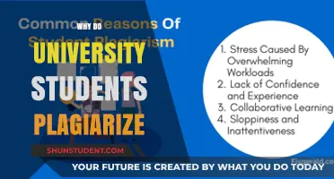 University Plagiarism: Why Students Cheat