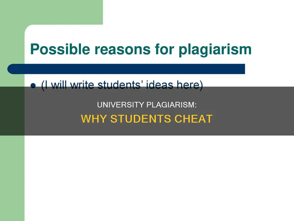why do university students plagiarize