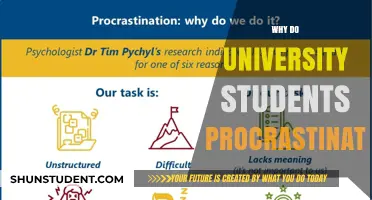 Understanding University Students' Procrastination Problems