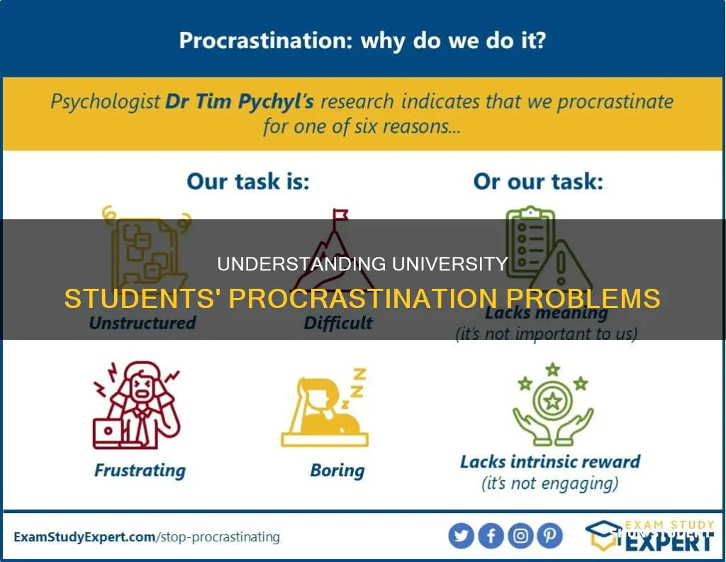 why do university students procrastinate