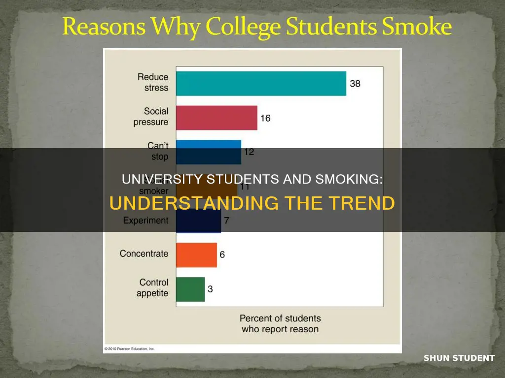 why do university students smoke