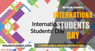 Celebrating International Students: A Day to Recognize Global Talent