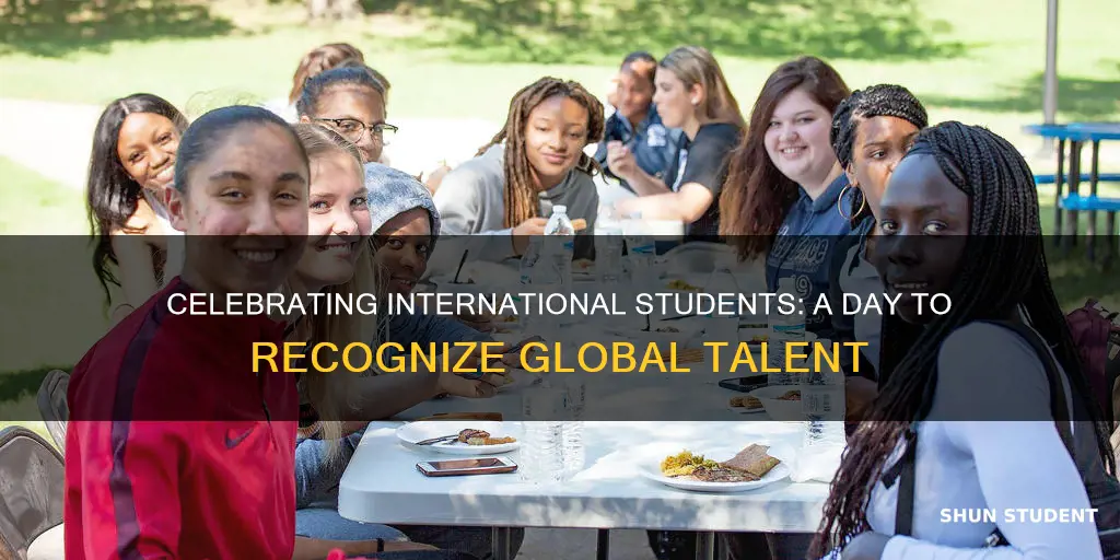 why do we celebrate international students day