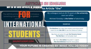 Articles in Grammar: Essential for International Student Success