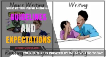 Teaching Routines, Guidelines, and Expectations: Shaping Student Success and Structure