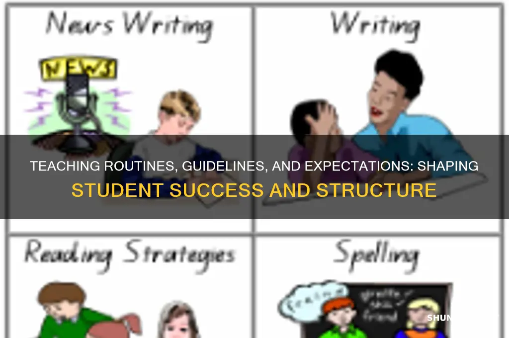 why do we teach students routines and guidelines and expectations