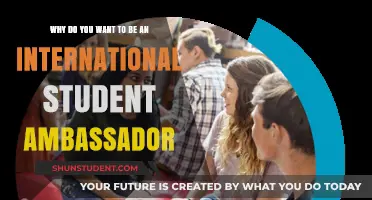 A Global Student Ambassador's Journey and Benefits