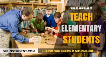 Inspiring Young Minds: Why Teaching Elementary Students is Rewarding
