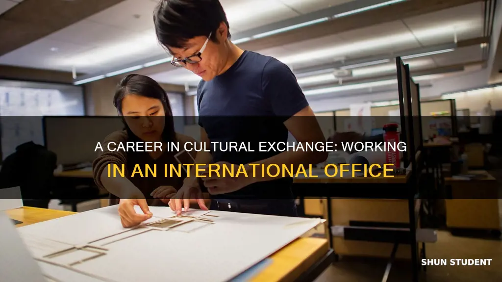 why do you want to work at international student offive
