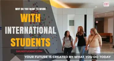 Exploring Diverse Perspectives: Working with International Students