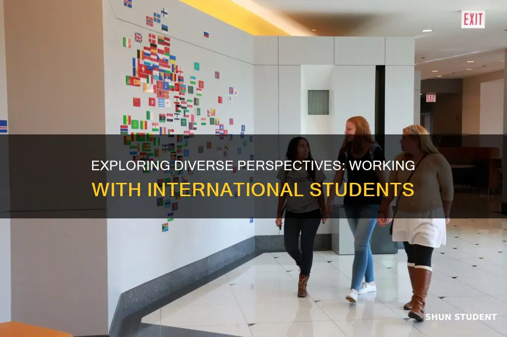 why do you want to work with international students