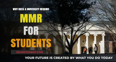 MMR Requirements: University's Strategy for Student Success
