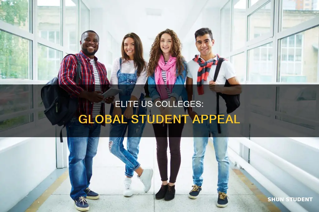 why does america top colleges admit many international students