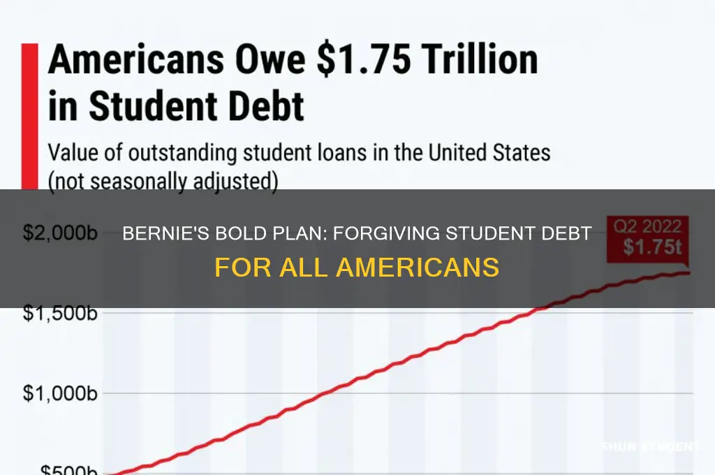 why does bernie believe everyone