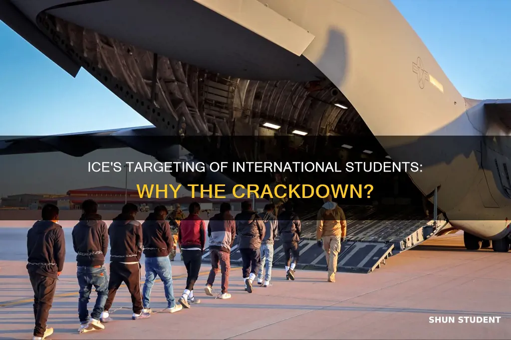 why does ice want to deport international students