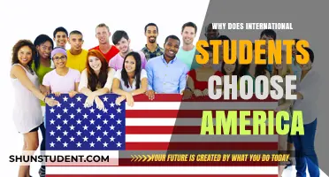 America's Education Attraction: International Students' Perspective