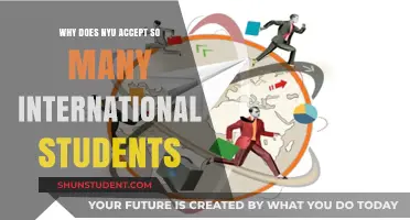 NYU's Global Student Appeal: Why So Many Internationals?
