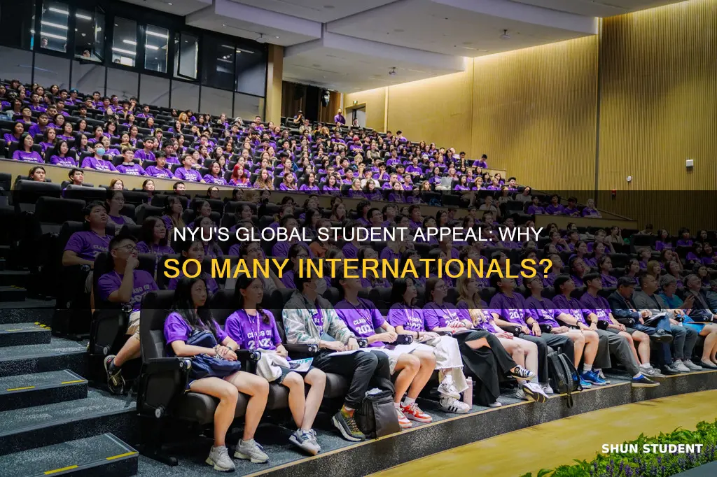 why does nyu accept so many international students