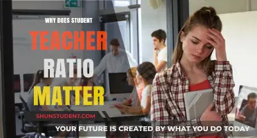 Why Student-Teacher Ratios Impact Learning and Classroom Success