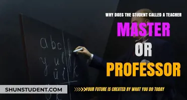 Why Students Call Teachers 'Master' or 'Professor': A Historical Perspective