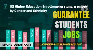 The Education-Employment Gap: US Universities and Job Security