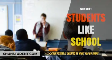 Exploring the Reasons Behind Students' Dislike for School